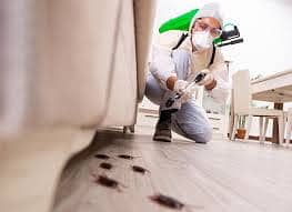 Pest control services & Termite Treatment Fumigation all types insect 2