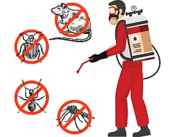 Pest control services & Termite Treatment Fumigation all types insect 10