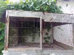 big size iron cage fr sale