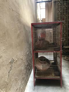 Birds Cage For Sale. Price 5500