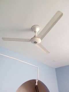 selling ceiling fan