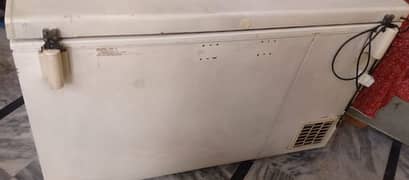 waves freezer for sale