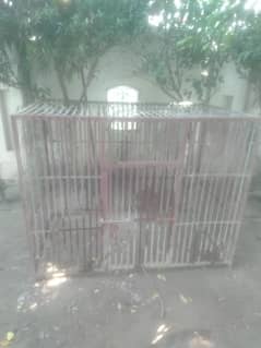 big cage for dog