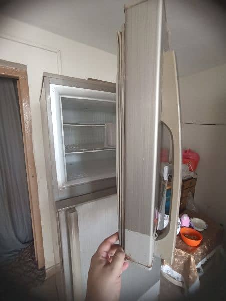 FRIDGE PEL FOR SALE 6