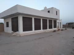 house with cattle farm amd big plot