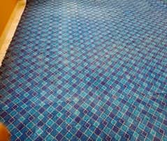 USED CARPET - Very Good Condition