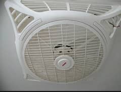 false ceiling fans royal fan 10/10