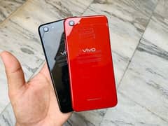 vivo