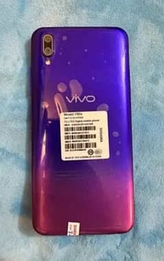 vivo