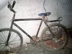 urgent sale big size cycle for sale