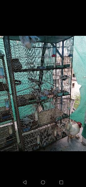 12 Portion 2 Cages 2