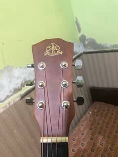 Student Guitar 38 inchess road head Rose wood Premium quality