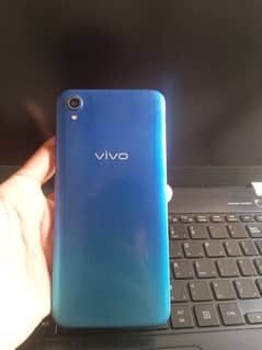 Vivo