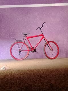 Cycle 4 sale