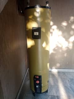 Singer Geyser for Sale