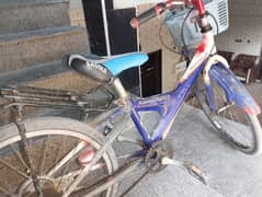 Imported Cycle