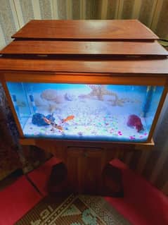 New condition fish aquarium with accessories +fishes