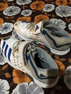 Addidas