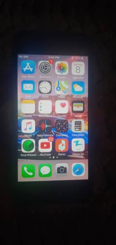 iPhone 5s Non Pta All Ok