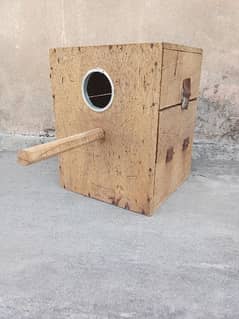 Nesting box for Green Parrots