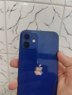 iPhone 12 PTA approved