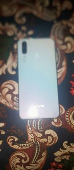 vivo