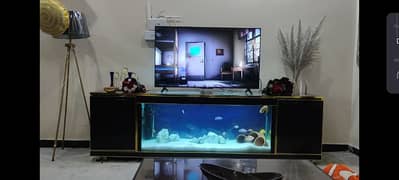 Aquarium TV console