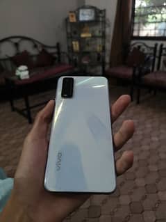 vivo