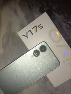 Y17s