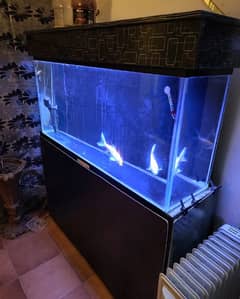 Aquarium + filter + led + fish