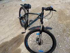 Cobalt MTB 29 Inch