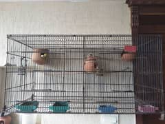 Australian parrots with cage for sale contact us on (03355077893)