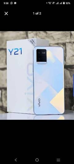 vivo