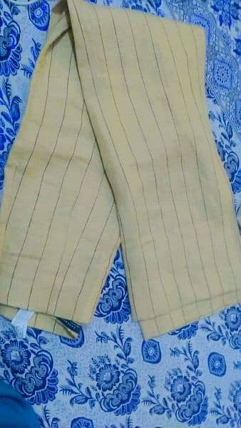 Zara brand trouser 2