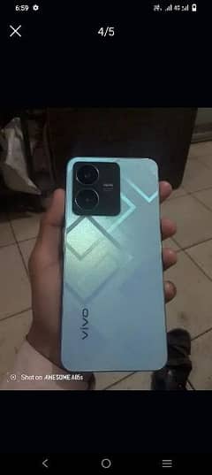 vivo