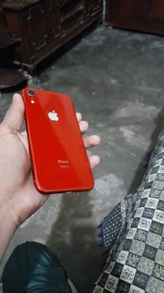 iPhone XR