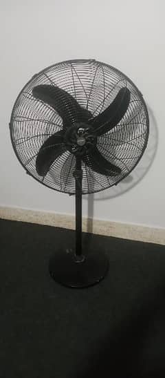 Champion Pedestal Fan