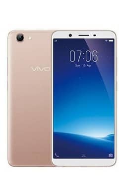 vivo