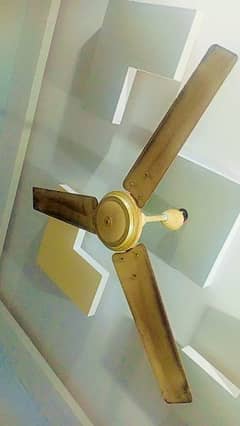 Ceiling Fan