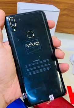 VIVO