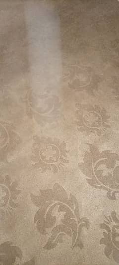 Carpet For Sale