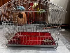 4 Australian Parrots With Cage