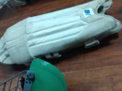 Cricket helmet and pads