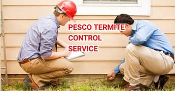 termite and pest control with warranty