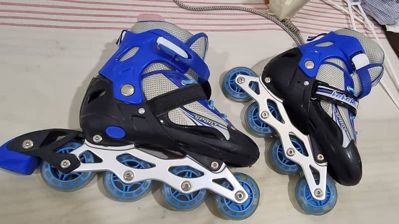 Roller Skates slightly used 0