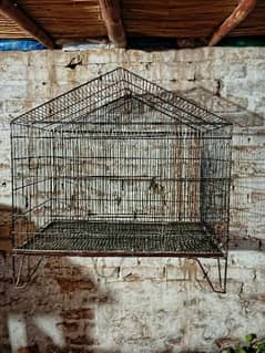 parrot cage