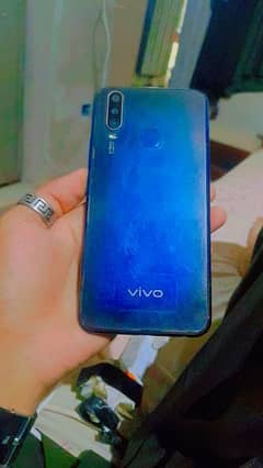 Vivo