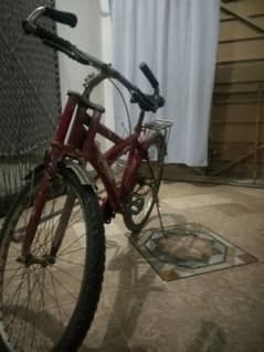 Bicycle for sale