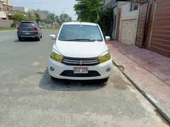 Suzuki Cultus VXL 2019