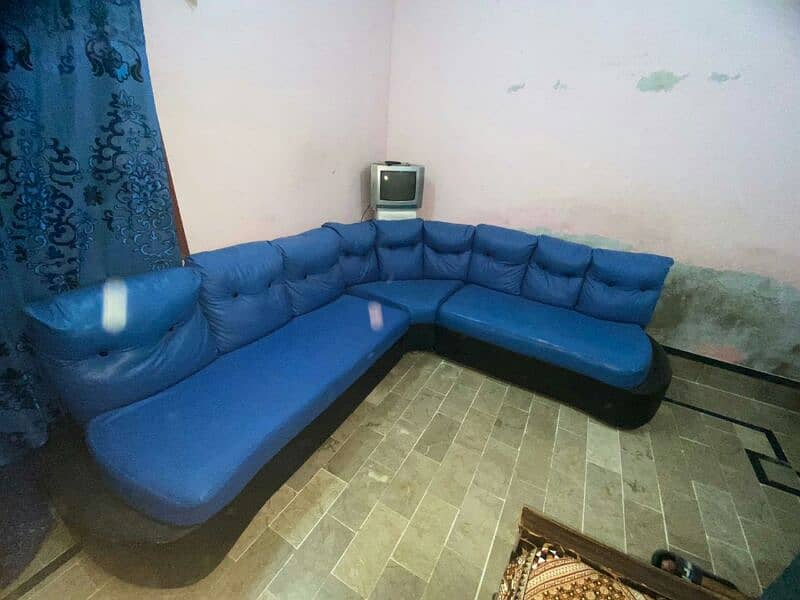 blue color sofa 1